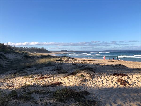 Berrara Beaches (7/07/2020 - Credits: Shannon Wheeler)