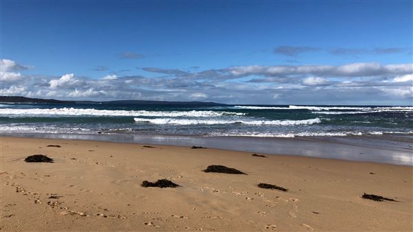 Swan Lake Inlet - Cudmirrah Beach (8/07/2020 - Credits: Shannon Wheeler)