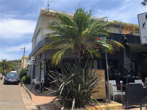 Avalon Beach (20/11/2020 - Credits: Screen NSW)