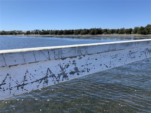 Watkins Jetty Long Jetty (10/10/2020 - Credits: Screen NSW Mechele Axford)