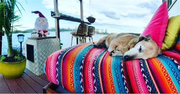 Houseboat Cruiser at Yamba Marina (1/12/2020 - Credits: Deb Morris)