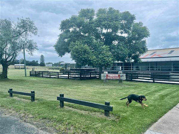Tobruk Sheep Station - Shearing Shed & Event Venue - These photos were taken at the end of summer however, it was an unusually overcast yet bright day. (23/02/2021 - Credits: Cheryl Conway)