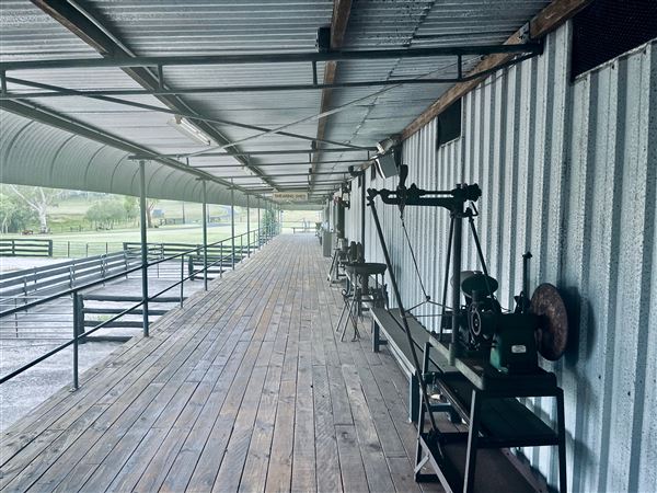 Tobruk Sheep Station - Shearing Shed & Event Venue - These photos were taken at the end of summer however, it was an unusually overcast yet bright day. (23/02/2021 - Credits: Cheryl Conway)