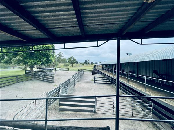 Tobruk Sheep Station - Shearing Shed & Event Venue - These photos were taken at the end of summer however, it was an unusually overcast yet bright day. (23/02/2021 - Credits: Cheryl Conway)