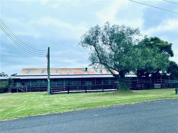 Tobruk Sheep Station - Cottages & surrounds - Summer but usually overcast & glarey. (23/02/2021 - Credits: Cheryl Conway)