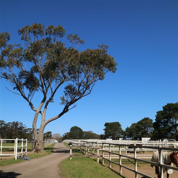 Darkes Forest Ranch (17/11/2022)