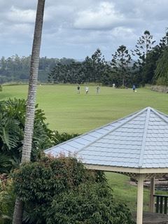 Halt Hill Macadamia Farm (21/11/2022 - Credits: submitted by: Heidi Roche)