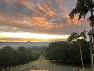 Halt Hill Macadamia Farm (21/11/2022 - Credits: submitted by: Heidi Roche)