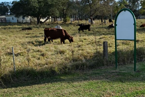 Belgenny Farm (12/04/2023 - Credits: Screen NSW)