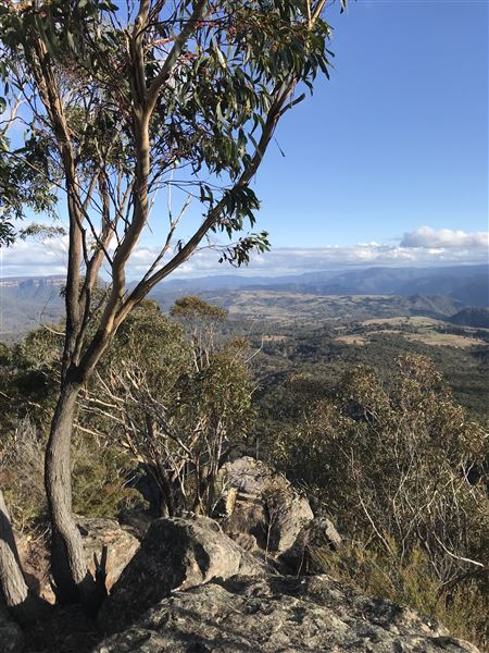 Hargraves Lookout (17/05/2023 - Credits: Julie Miller)