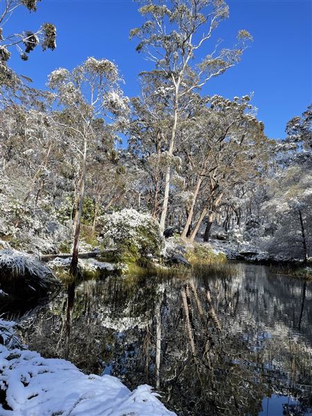 Campbell Rhododendron Gardens (1/10/2022 - Credits: Julie Parker, Deb Wells)