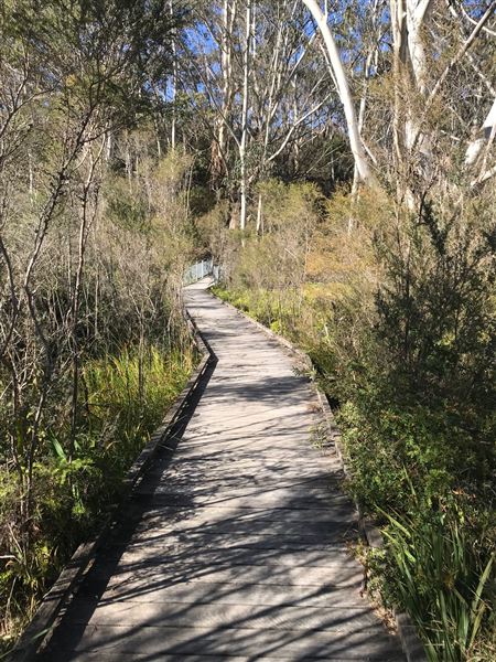 The Gully Aboriginal Place (24/05/2023 - Credits: BMCC)