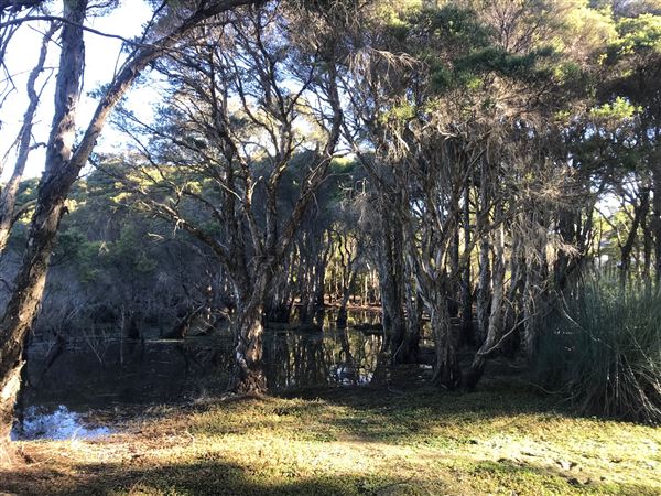 Glenbrook Lagoon (24/05/2023 - Credits: BMCC)
