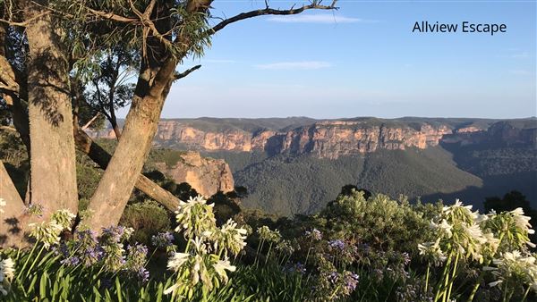 Blue Mountains (28/06/2023 - Credits: Julie Miller)