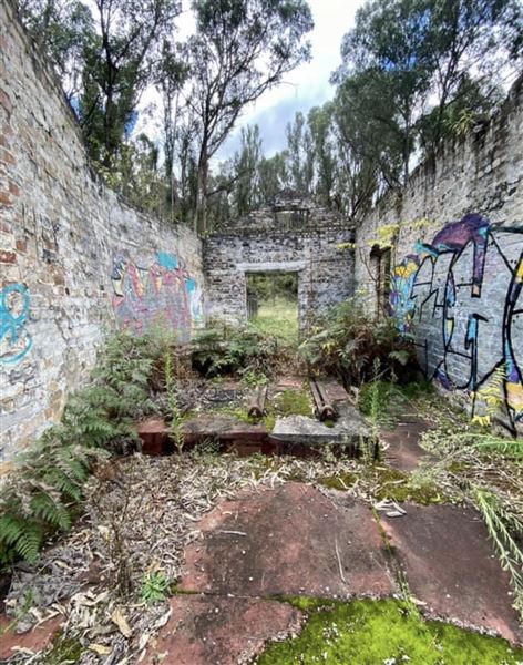 Birdsong Bower - Disused Coal Mine (1/05/2023 - Credits: Brooke Lazarevic)