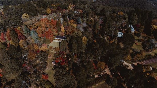 Dennarque Estate (17/07/2018 - Credits: Evan Wang)
