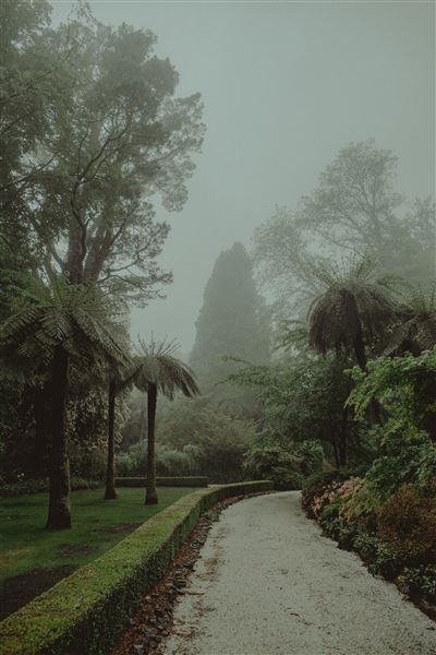Dennarque Estate (17/07/2018 - Credits: Evan Wang)