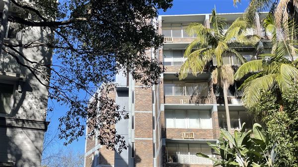 Rushcutters Bay (11/08/2023 - Credits: Screen NSW)