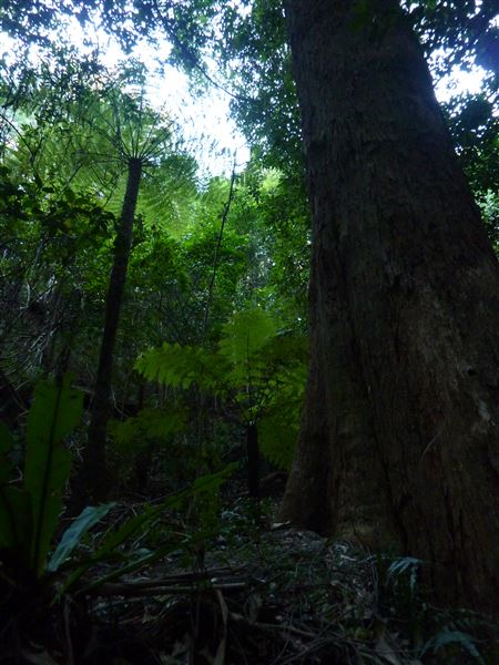 Mt Hay Retreat (7/07/2016 - Credits: Mt Hay Retreat)