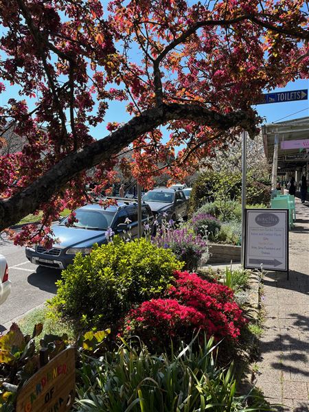 Leura Village (14/09/2023 - Credits: Julie Miller)
