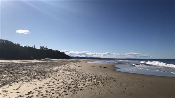 Nambucca Heads Swimming Creek (9/10/2020 - Credits: Shannon Wheeler)