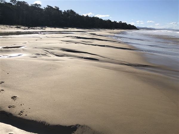 Nambucca Heads Swimming Creek (9/10/2020 - Credits: Shannon Wheeler)