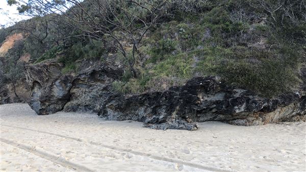 Nambucca Heads (14/07/2020 - Credits: Shannon Wheeler)