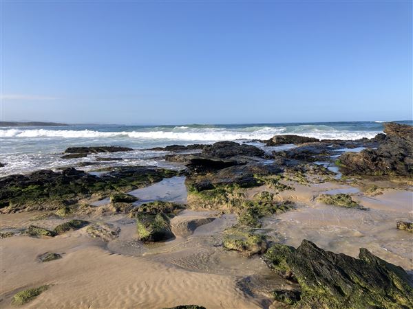 Nambucca Heads (9/10/2020 - Credits: Shannon Wheeler)