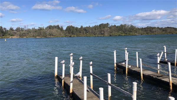 Nambucca Heads (9/10/2020 - Credits: Shannon Wheeler)