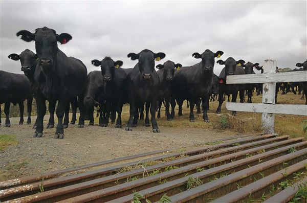 Tocal Farm (23/05/2019 - Credits: Tocal College)