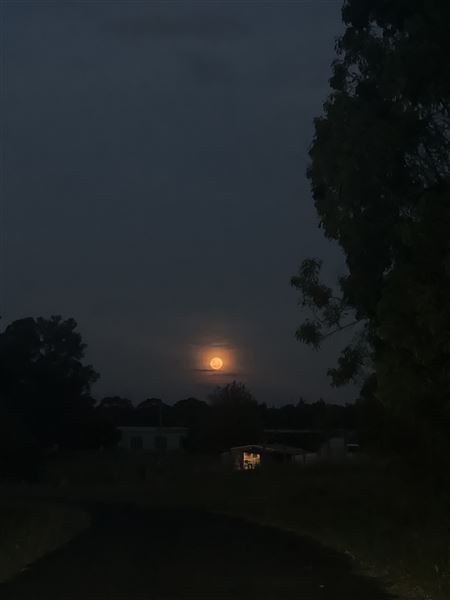 Sugarloaf Farm (3/06/2024 - Credits: submitted by: Angelina Pisani)