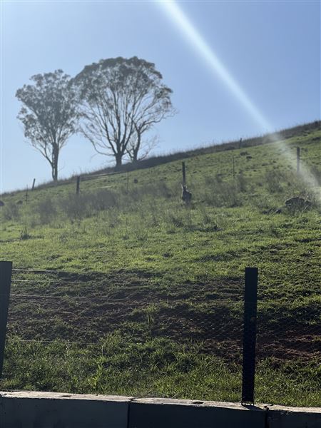 Sugarloaf Farm (3/06/2024 - Credits: submitted by: Angelina Pisani)