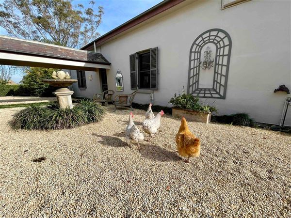 Berry House & Barn (27/02/2019 - Credits: Berry House)