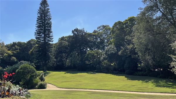 Vaucluse House (27/03/2024 - Credits: Shannon Wheeler)
