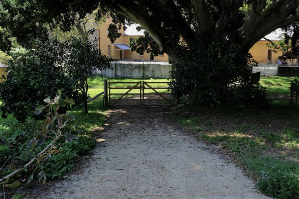Vaucluse House (27/03/2024 - Credits: Shannon Wheeler)