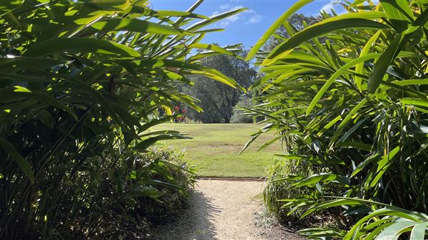 Vaucluse House (27/03/2024 - Credits: Shannon Wheeler)