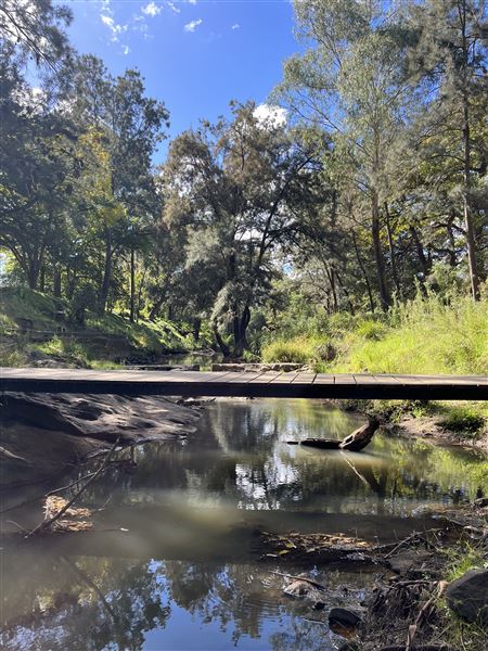 Stonequarry Creek Railway Viaduct (9/06/2024 - Credits: Kim McGuinness & Kersti Martin)