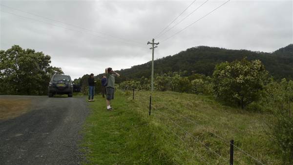 Albion Park - Stockyard Mountain Road (25/02/2013 7:43:42 PM)