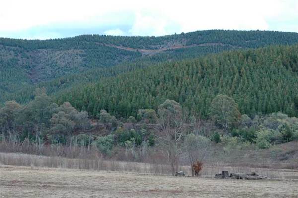 Blowering Dam & Reservoir (26/02/2013 3:19:05 PM)