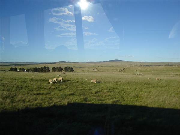 Dalgety/Cooma (27/02/2013 10:56:30 AM)