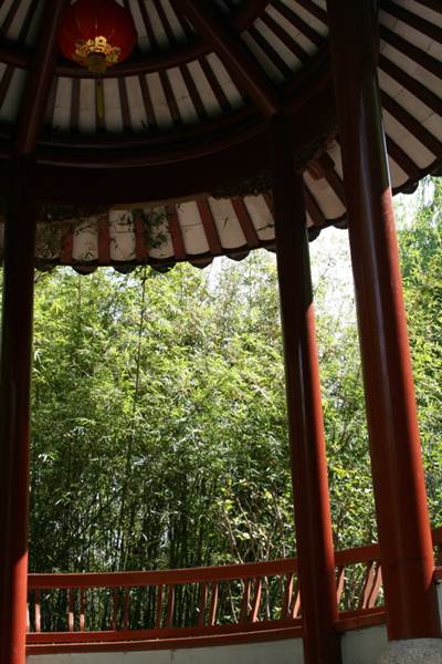 Chinese Garden of Friendship - Darling Harbour (27/02/2013 1:33:20 PM)
