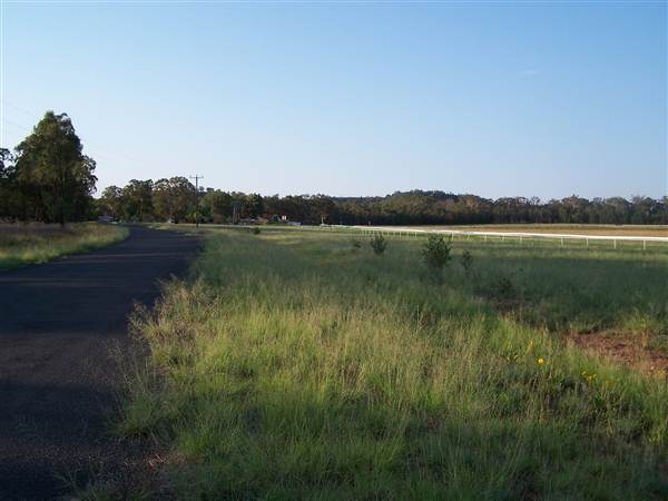 Coonabarabran Jockey Club (27/02/2013 1:34:05 PM)