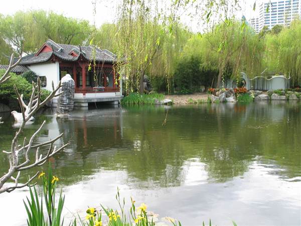 Chinese Garden of Friendship - Darling Harbour (27/02/2013 1:37:59 PM)
