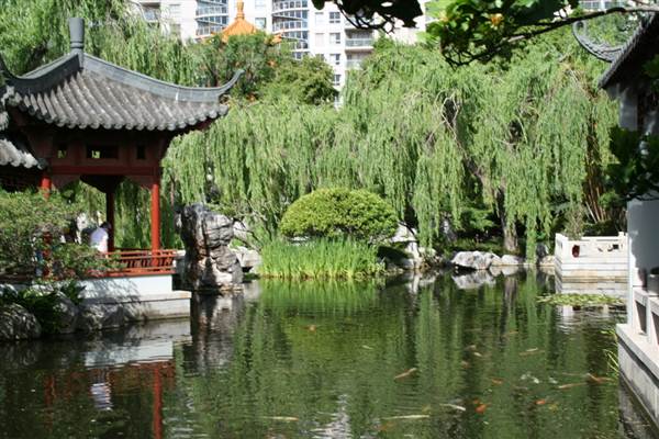 Chinese Garden of Friendship - Darling Harbour (27/02/2013 1:41:05 PM)