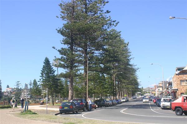 Dee Why Beach (27/02/2013 7:36:16 PM)