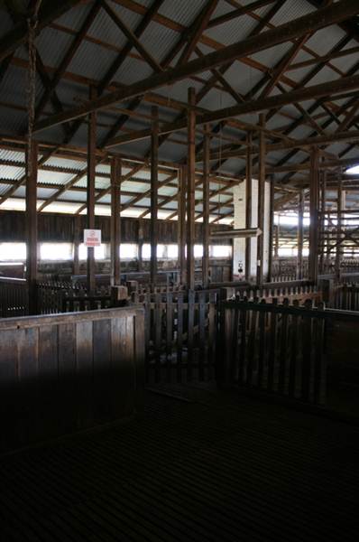 Deeargee Woolshed (27/02/2013 7:49:33 PM)