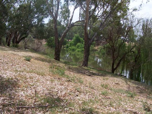 Dundullimal Homestead (28/02/2013 12:48:39 AM)