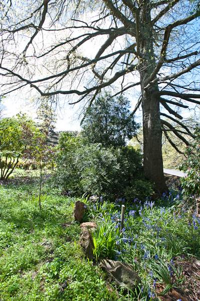 Lady Fairfax Gardens (28/02/2013 10:10:30 AM)