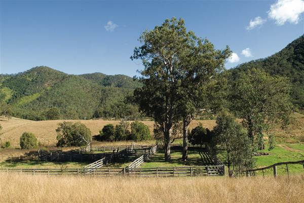 East Kunderang Homestead - Armidale (28/02/2013 1:31:32 PM)