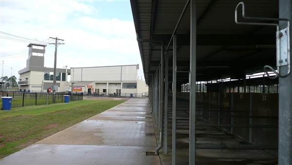 Menangle Park Paceway (28/02/2013 3:36:33 PM)